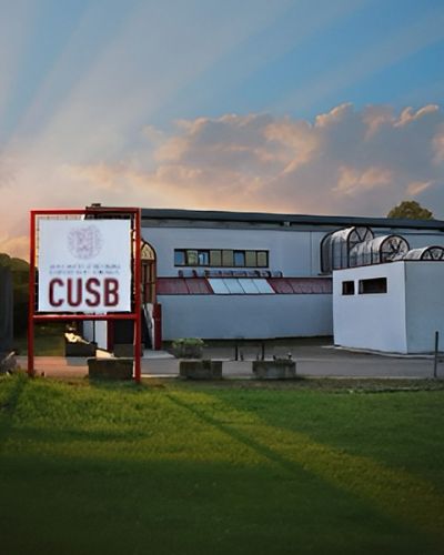 Alma Mater Bologna Palacus